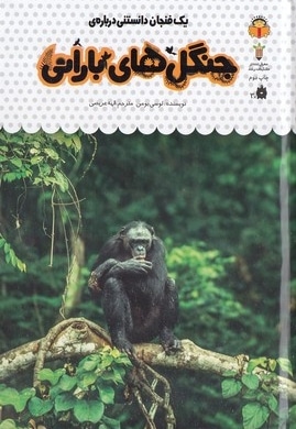 یک فنجان دانستنی درباره ی 33-جنگل های بارانی
